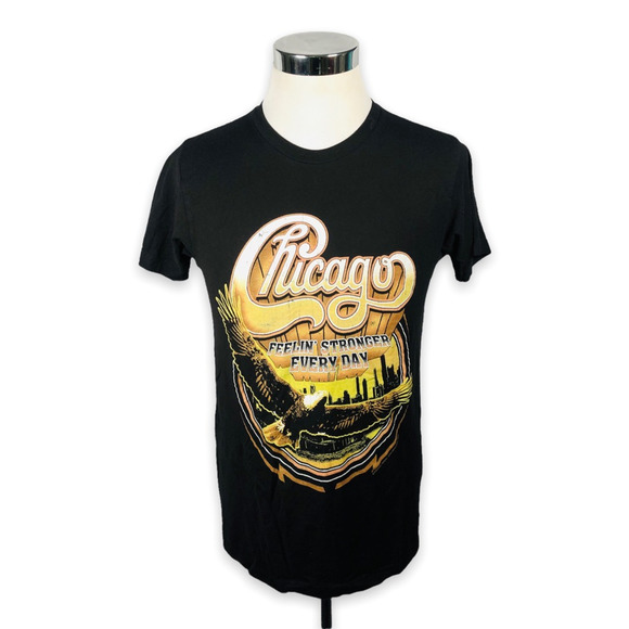 Tultex Other - Chicago Feelin Stronger Every Day Tultex Mens Graphic Band Tour T-Shirt Black M